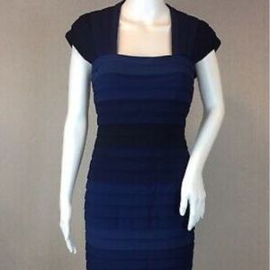 Tadashi Shoji Ombre Navy Dress
